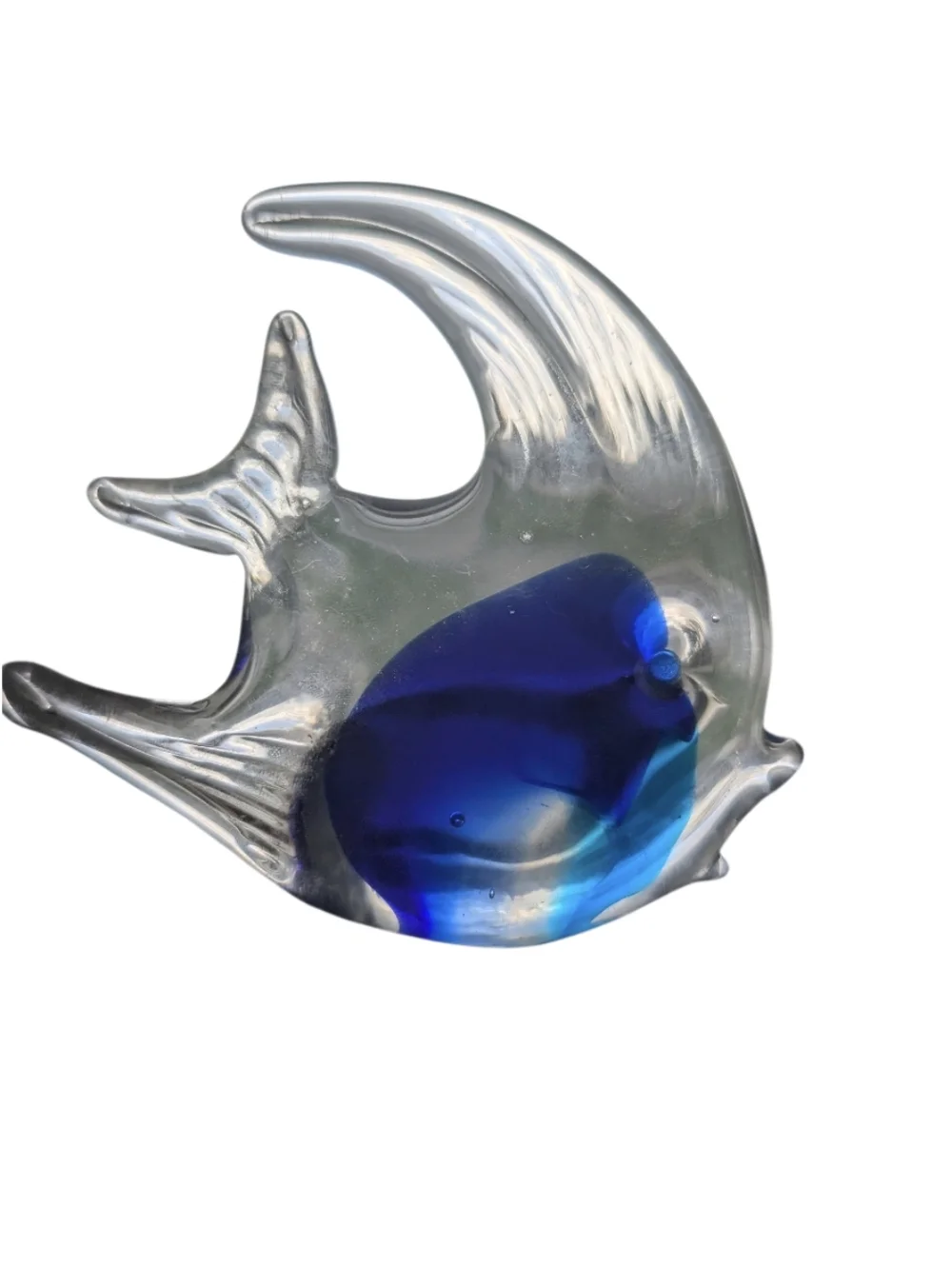 Vgt. Blue Glass Angelfish‎ - Decorative Fish Accent